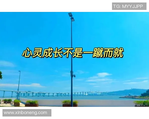 何思雨：在风雨中追寻梦想的勇敢旅程与心灵成长